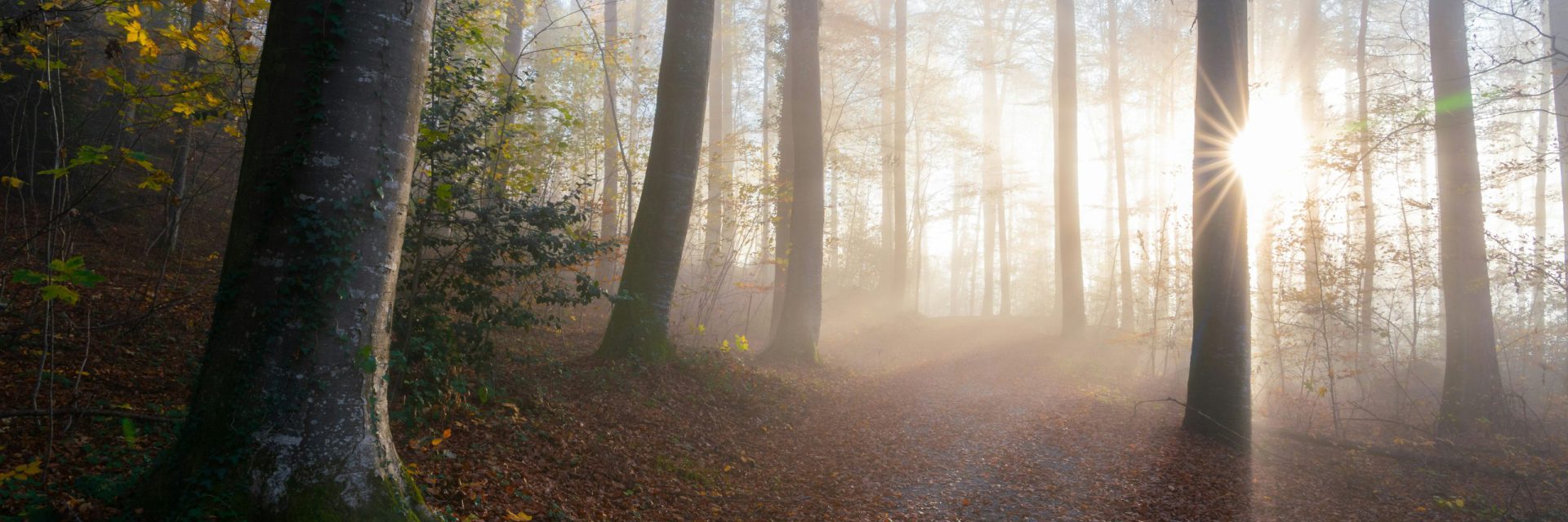 pascal-debrunner-U-eRC8Q5iEY-unsplash